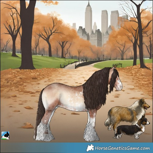 Horse Color:Sable Champagne Onyx Sabino Rabicano 