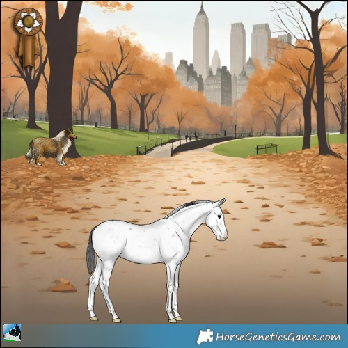 Horse Color:Brown Onyx Sabino 