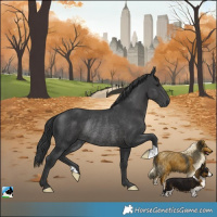 Horse Color:Black Rabicano 