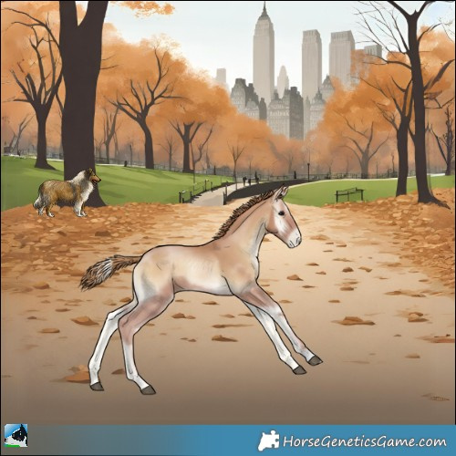 Horse Color:Blue Onyx Pearl Rabicano 