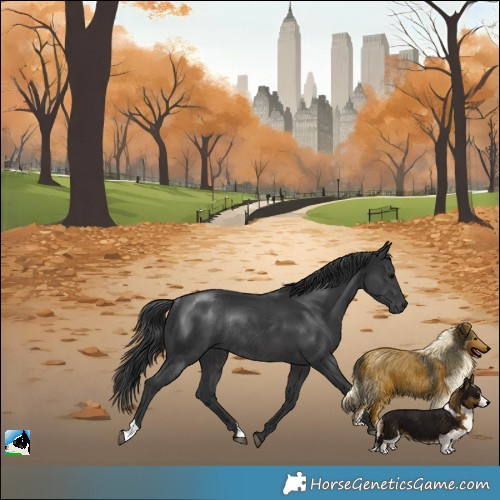 Horse Color:Black Rabicano 