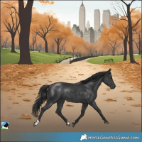 Horse Color:Black Rabicano