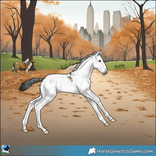Horse Color:Brown Dun Mushroom Sabino 