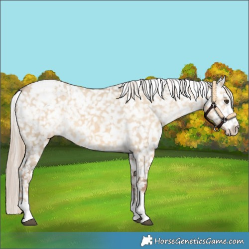 Horse Color:White Spotted Chocolate Palomino Dun Sabino Snowflake Varnish