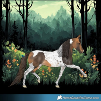 Horse Color:Buckskin Tobiano 