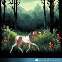 Horse Color:Buckskin Tobiano 