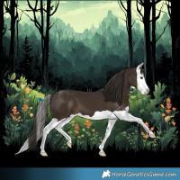 Horse Color:Liver Chestnut Splash 