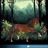 Horse Color:Liver Chestnut