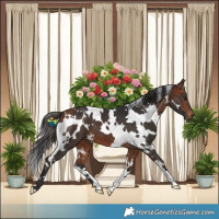 Horse Color:White Spotted Bay 