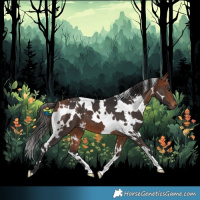 Horse Color:White Spotted Bay 