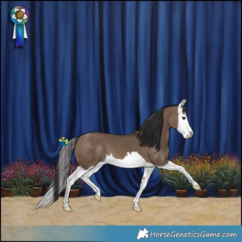 Horse Color:Brown Dun Splash 