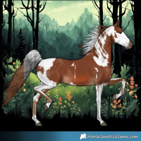 Horse Color:White Spotted Black Tobiano Rabicano  and Chestnut Tobiano Rabicano 