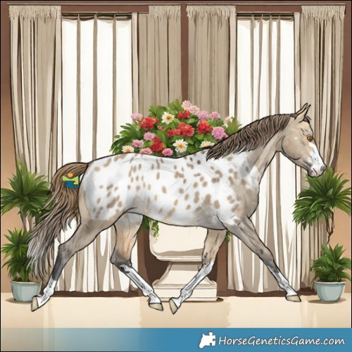Horse Color:Buckskin Dun Near Leopard Brindle 