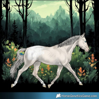 Horse Color:Cremello Dun Appaloosa Rabicano 