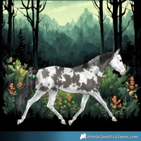 Horse Color:White Spotted Grullo Splash 