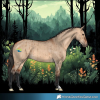 Horse Color:Bay Dun Brindle 