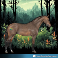 Horse Color:Bay Dun Brindle 