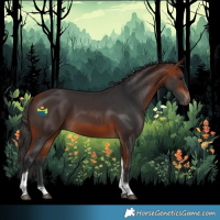Horse Color:Bay Tobiano 