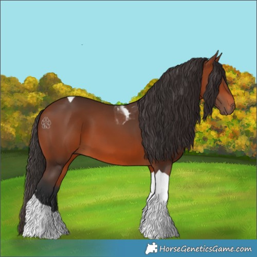 Horse Color:Bay Tobiano 