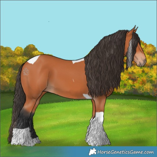 Horse Color:Bay Tobiano