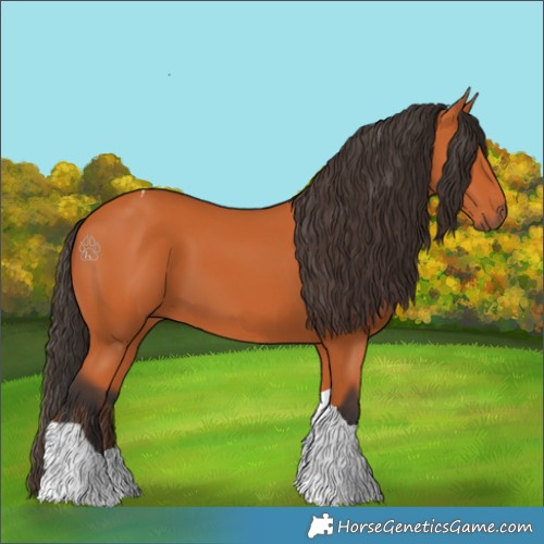 Horse Color:Bay Tobiano 