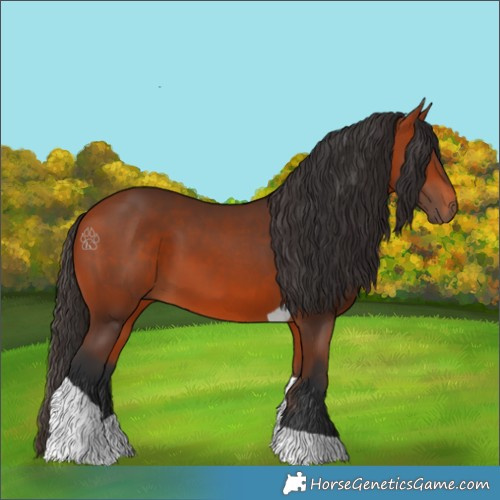 Horse Color:Bay Tobiano