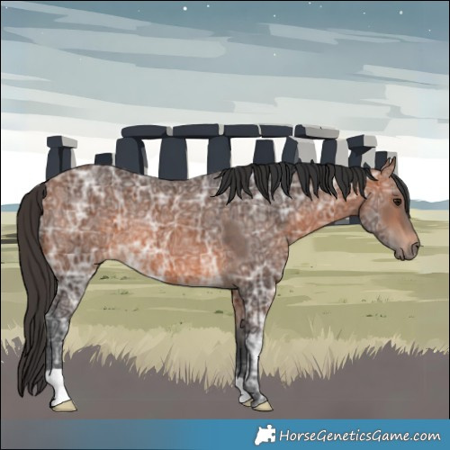 Horse Color:Bay Ice Rabicano 