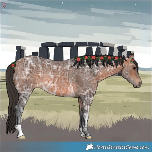 Horse Color:Bay Ice Rabicano