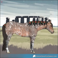 Horse Color:Bay Ice Rabicano 