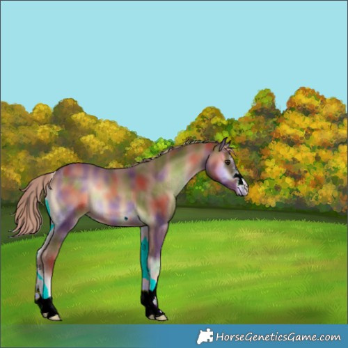 Horse Color:Nacre Red Onyx 