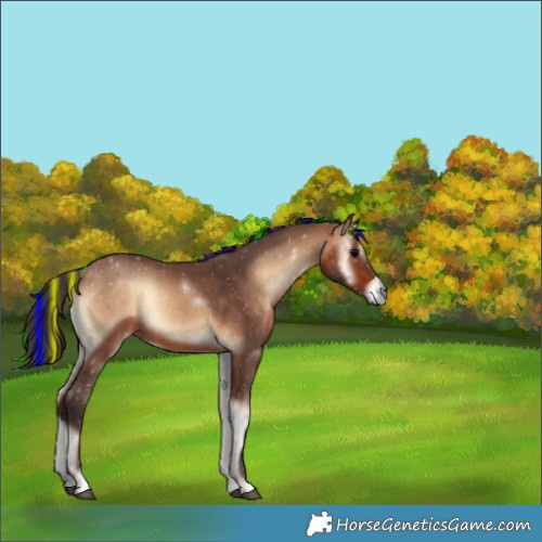 Horse Color:Painted Bay Onyx 