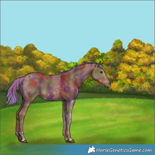Horse Color:Nacre Chestnut 
