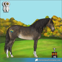 Horse Color:Buckskin 