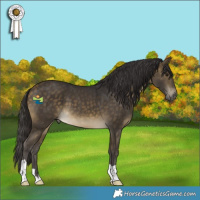 Horse Color:Buckskin 