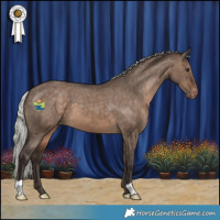 Horse Color:Silver Brown Dun Varnish 