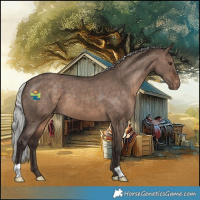 Horse Color:Silver Brown Dun Appaloosa