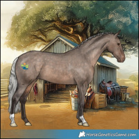 Horse Color:Silver Brown Dun Appaloosa 