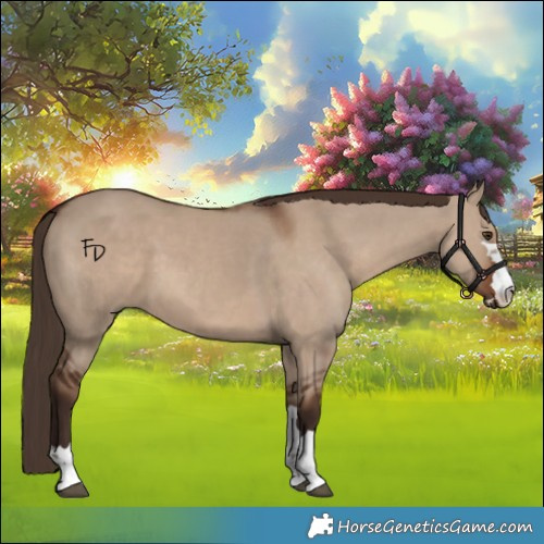 Horse Color:Liver Red Dun 