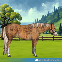 Horse Color:Chestnut and Palomino