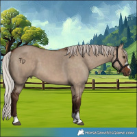 Horse Color:Silver Brown Dun 