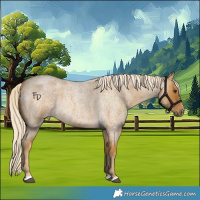 Horse Color:Palomino Roan 