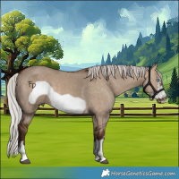 Horse Color:Silver Bay Dun Frame 