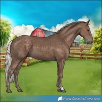 Horse Color:Silver Black 