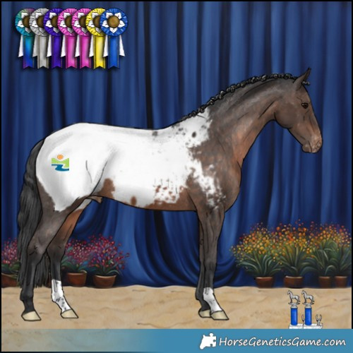Horse Color:Brown Snowcap 