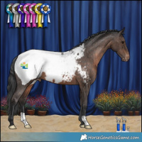 Horse Color:Brown Snowcap 