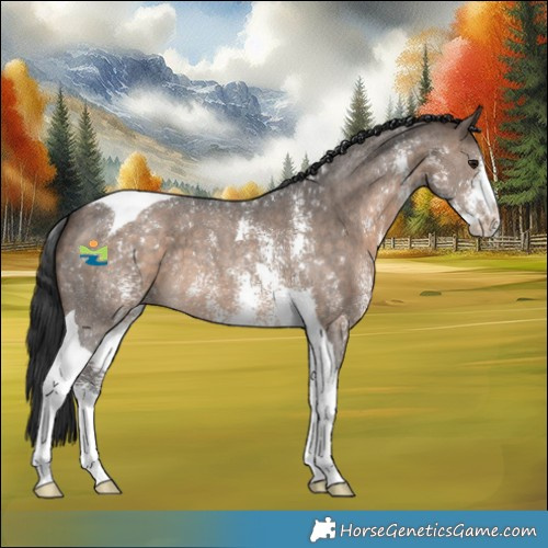 Horse Color:Brown Dun Sabino Tobiano