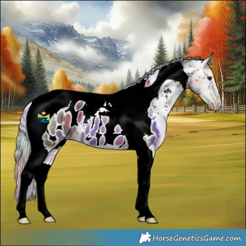 Horse Color:Nacre Silver Brown Dun Tobiano Blanket 