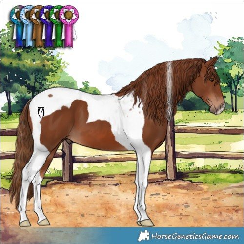 Horse Color:Chestnut Tobiano 
