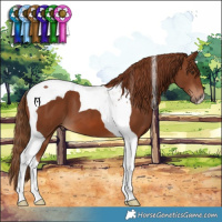 Horse Color:Chestnut Tobiano 