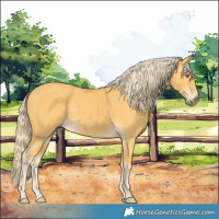 Horse Color:Palomino